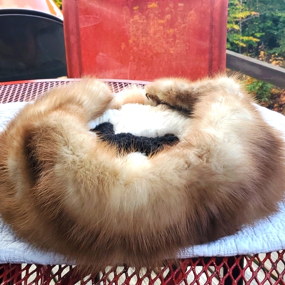 💥SOLD💥Large Authentic Mink Collar - Picture 5 of 14